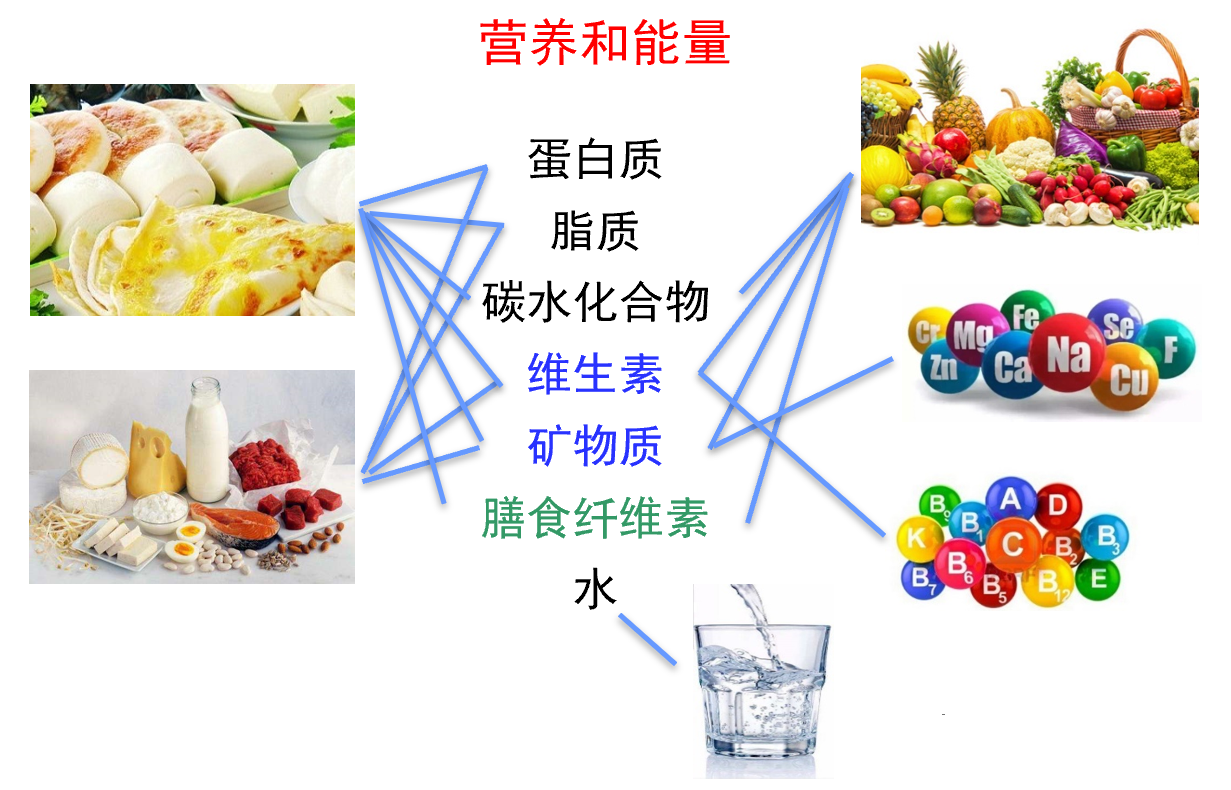 2020年最佳饮食排名。看过来，总有一款适合你！ - 知乎